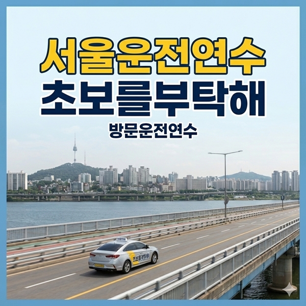 초보방문운전연수완벽해결